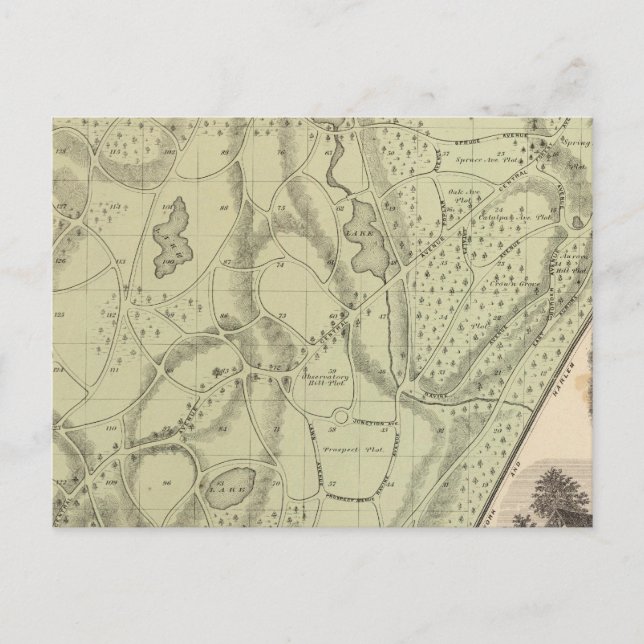 Carte Postale Cimetière de Woodlawn (Devant)