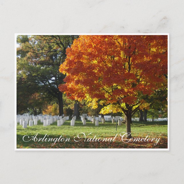 Carte Postale Cimetière national d'Arlington (Devant)