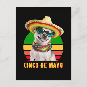 Carte Postale Cinco De Mayo Chapeau Chihuahua Avec Lunettes De S