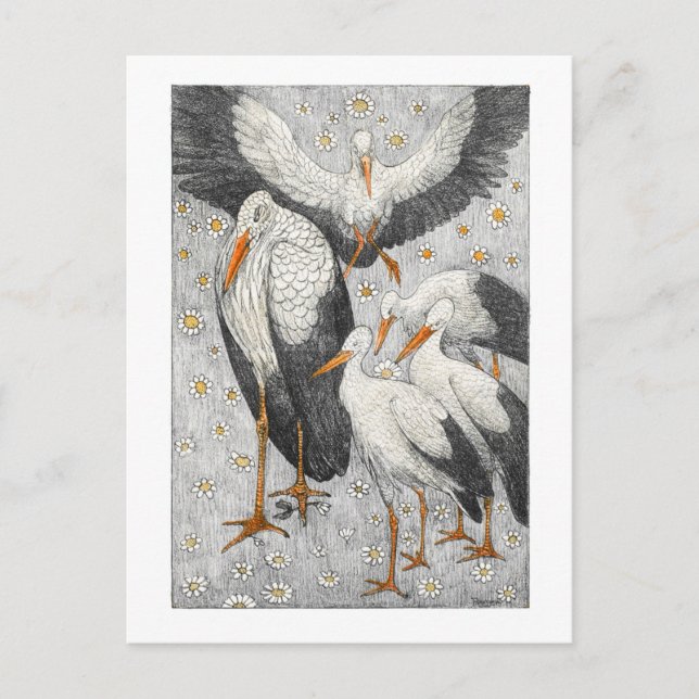 Carte Postale Cinq cigognes dans une prairie - Theo van Hoytema (Devant)