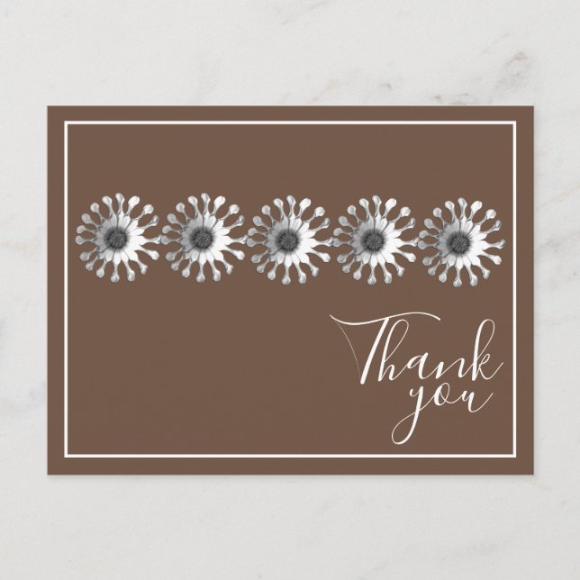 Carte Postale Cinq marguerites blanches Fond marron Merci (Devant)