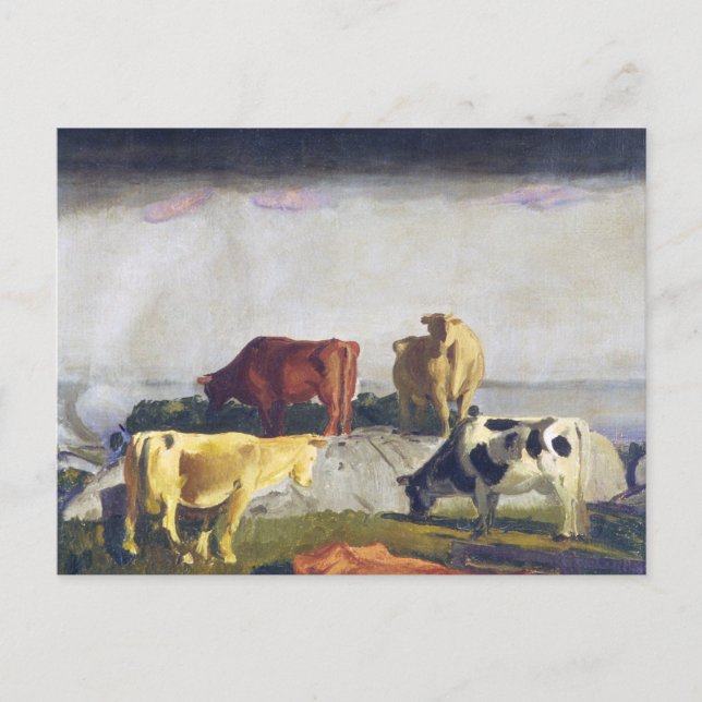 Carte Postale Cinq vaches - Peinture de George Bellows (Devant)