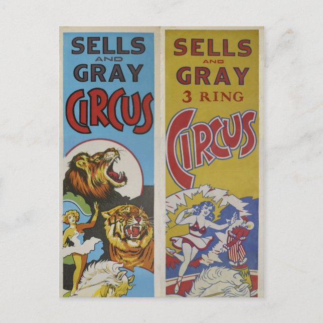 Carte Postale CIRCUS LINE Sells & Grey Circus- (Devant)