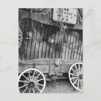 Carte Postale Circus Wagon