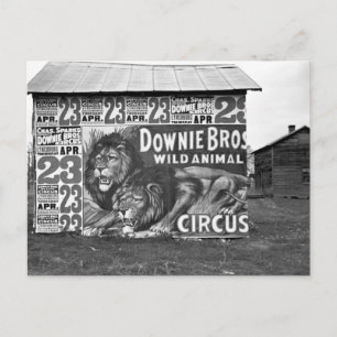 Carte Postale Cirque dans le Tennessee, années 1930