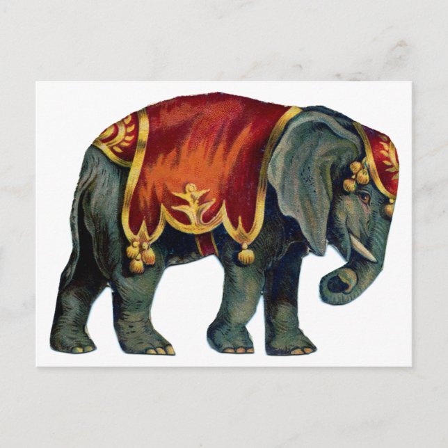 Carte Postale cirque vintage exécutant cirque d'éléphants, poste (Devant)