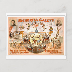 Carte Postale Cirque vintage exécutant des singes