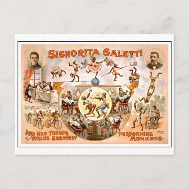 Carte Postale Cirque vintage exécutant des singes (Devant)
