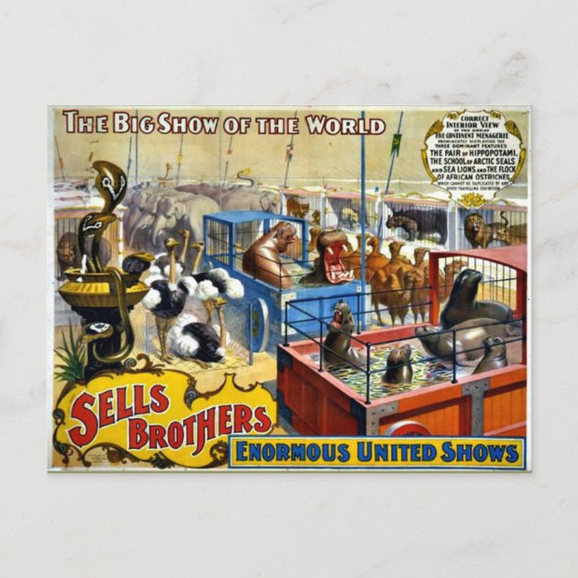 Carte Postale Cirque vintage - Vend Brothers Circus (Devant)