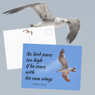 Carte Postale Citation Aucun Oiseau Ne S'envole Trop Haut Goélan