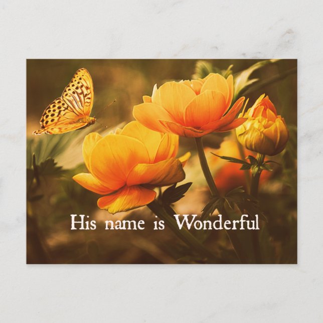 Carte Postale Citation chrétienne inspirante : Son nom est (Devant)