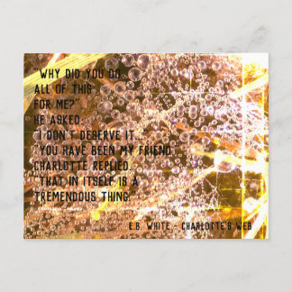 Carte Postale Citation d'amitié personnalisable - Le Réseau de C