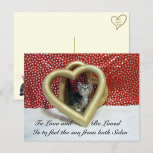 Carte Postale Citation d'amour avec le chat Lilo