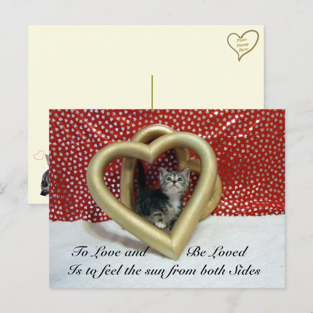 Carte Postale Citation d'amour avec le chat Lilo (Devant / Derrière)