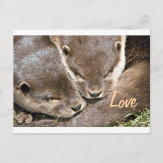 Carte Postale Citation d'amour - Otters