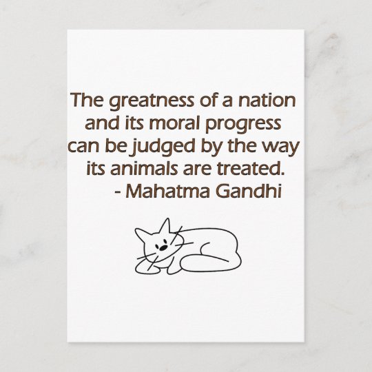 Carte Postale Citation D Animaux De Gandhi Avec Le Chat Zazzle Fr