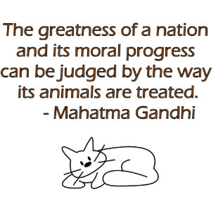 Cadeaux Citation Gandhi Zazzle Fr