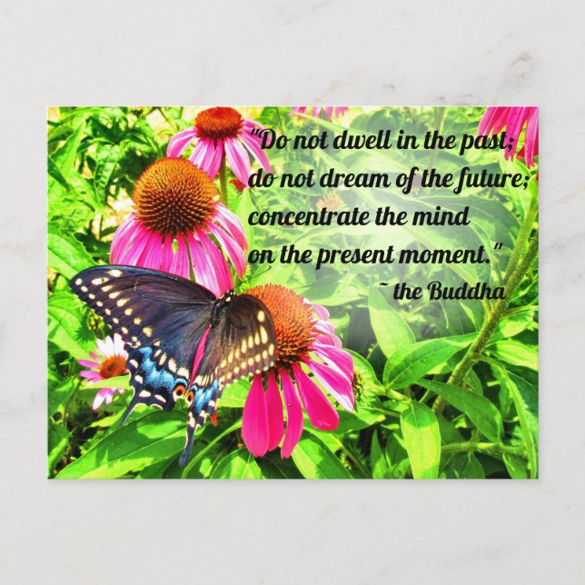Carte Postale Citation de Bouddha Papillon Papilio noir Fleurs (Devant)