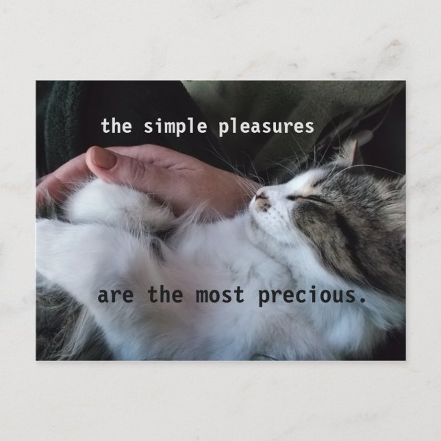 Carte Postale Citation de chaton mignon Simples plaisirs les plu (Devant)
