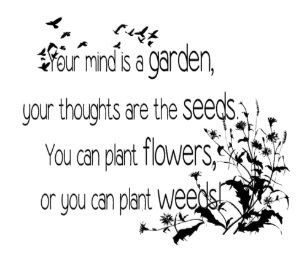 Cartes De Vœux Citations Jardinage Zazzle Fr Cartes De Vœux Citations Jardinage Zazzle Fr