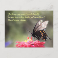 Citation de papillon "Sunshine, Freedom, Flower"