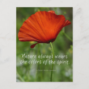 Carte Postale Citation de Red Poppy Emerson