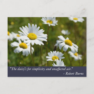 Carte Postale Citation de Robert Burns Daisy