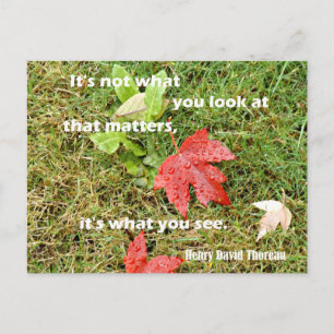 Carte Postale Citation de Thoreau : Ce n'est pas ce que vous reg