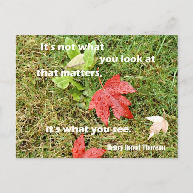 Carte Postale Citation de Thoreau : Ce n'est pas ce que vous reg (Devant)