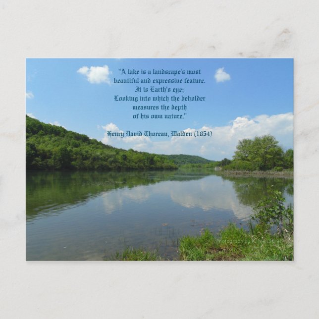 Carte Postale Citation de Thoreau Walden Lake (Devant)