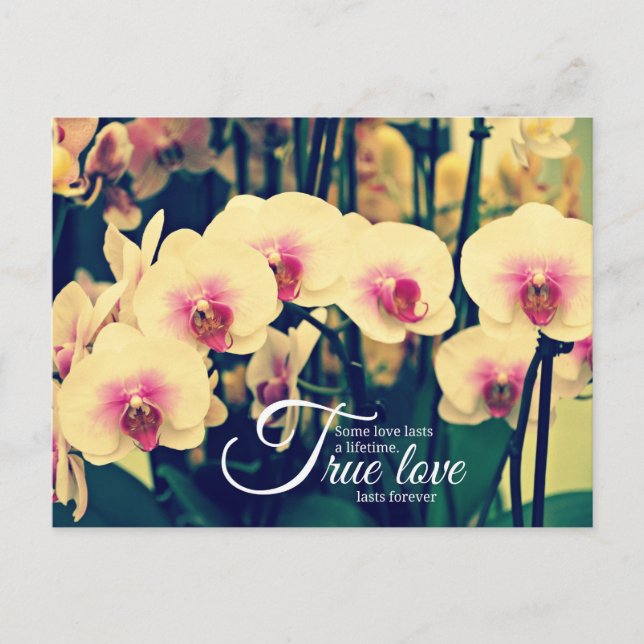 Carte Postale Citation d'inspiration romantique (Devant)