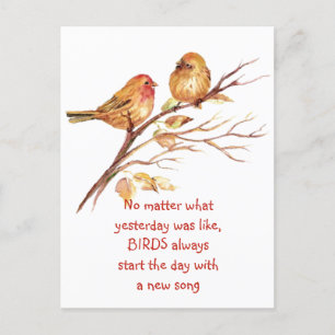 Carte Postale Citation Encourageante Inspirante Pour Les Oiseaux