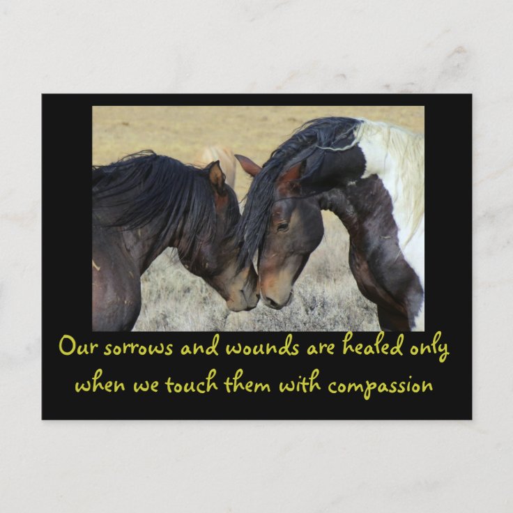 Carte Postale Citation Inspirationnelle Deux Chevaux Sauvages E Zazzle Fr