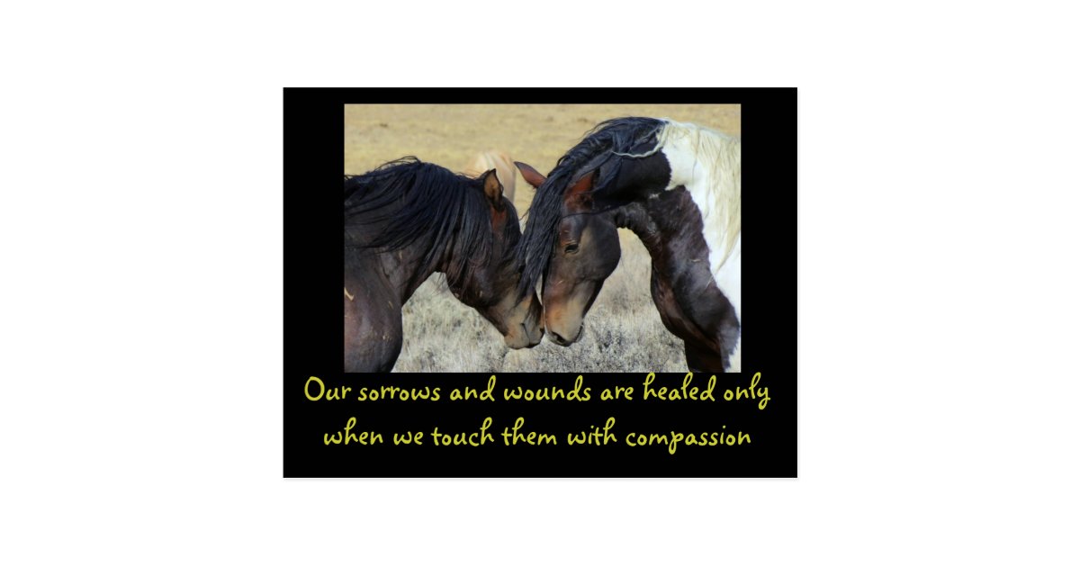 Carte Postale Citation Inspiree Pousser Du Nez De Deux Chevaux Zazzle Fr