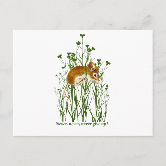 Carte Postale Citation Motivationnelle de souris mignonne N'aban (Devant)