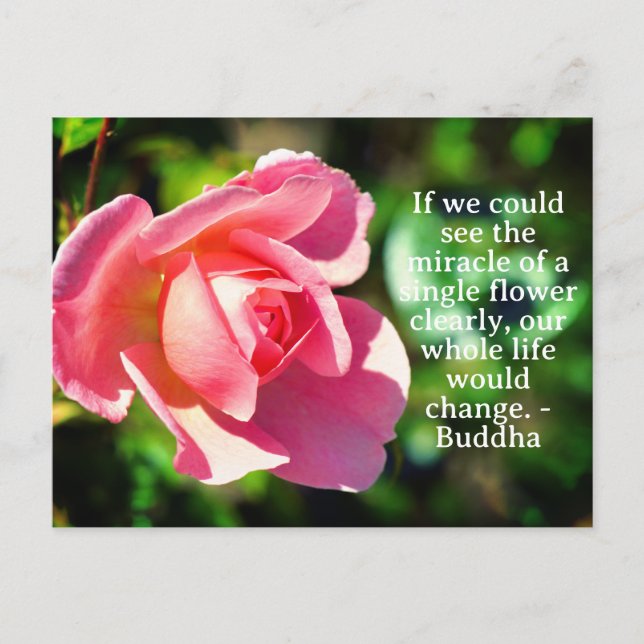 Carte Postale Citation Motivationnelle Rose rose (Devant)