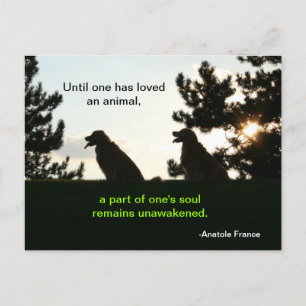 Carte Postale Citation pour animal de compagnie spirituelle Gold