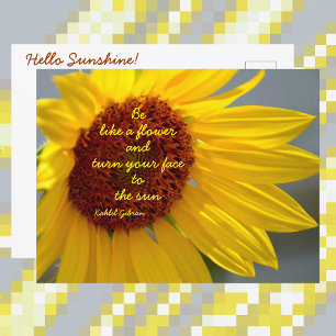 Carte Postale Citation Tournesol Sois comme une Fleur Photograph