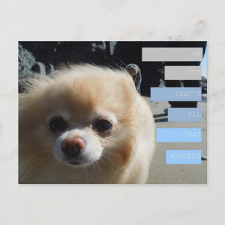 Carte Postale Citations de Winnie