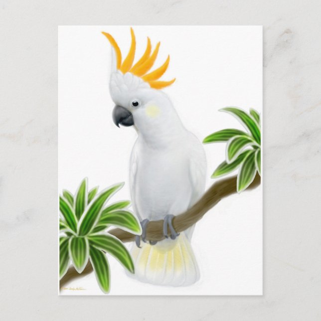 Carte Postale Citron Crested Cockatoo (Devant)