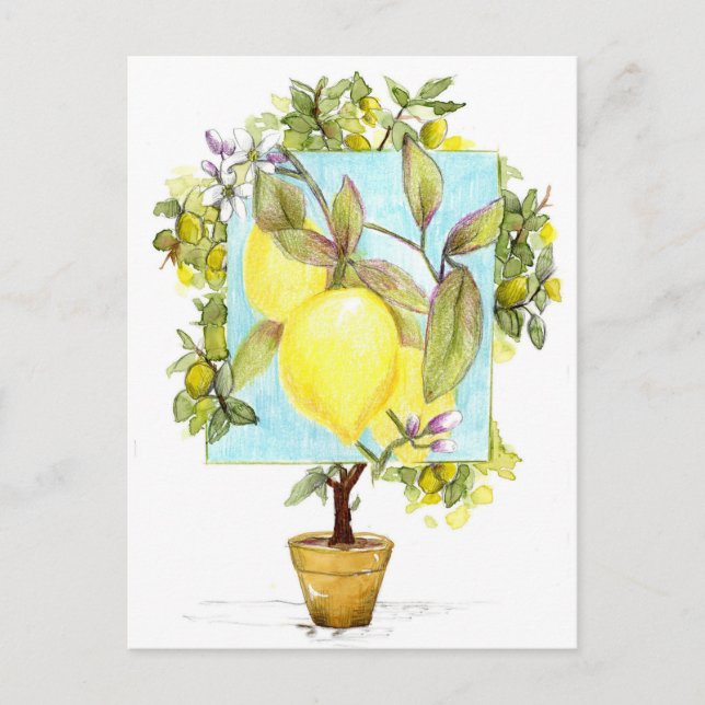 Carte Postale Citronnier Meyer Citrus Fruits Jardin (Devant)