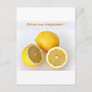 Carte Postale Citrons