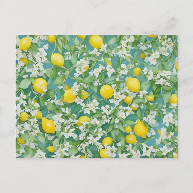 Carte Postale Citrons et fleurs blanches (Devant)