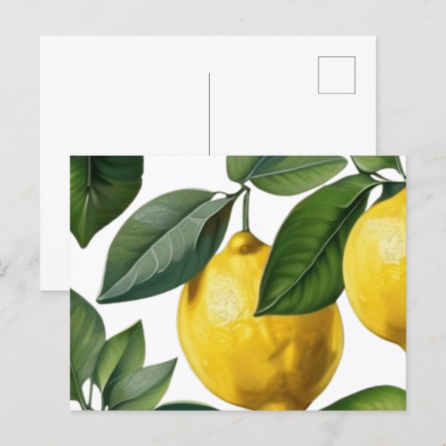 Carte Postale Citrons Été (Devant / Derrière)