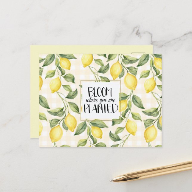 Carte Postale Citrons Jaunes Chic Floraison (Devant/Arrière en situation)