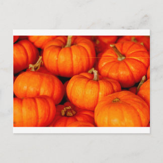 Carte Postale Citrouille