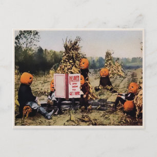 Carte postale Citrouille