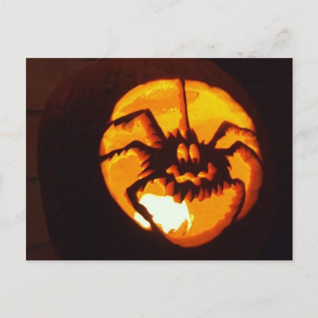 Carte Postale Citrouille araignée (Devant)
