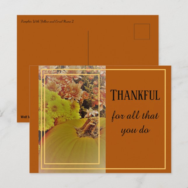 Carte Postale Citrouille aux chrysanthèmes 2 / Reconnaissant (Devant / Derrière)