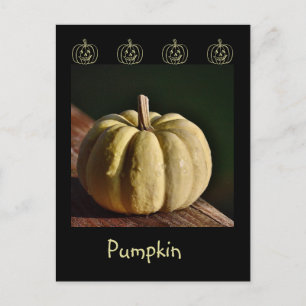 Carte postale Citrouille blanc Mini Gourd Fall